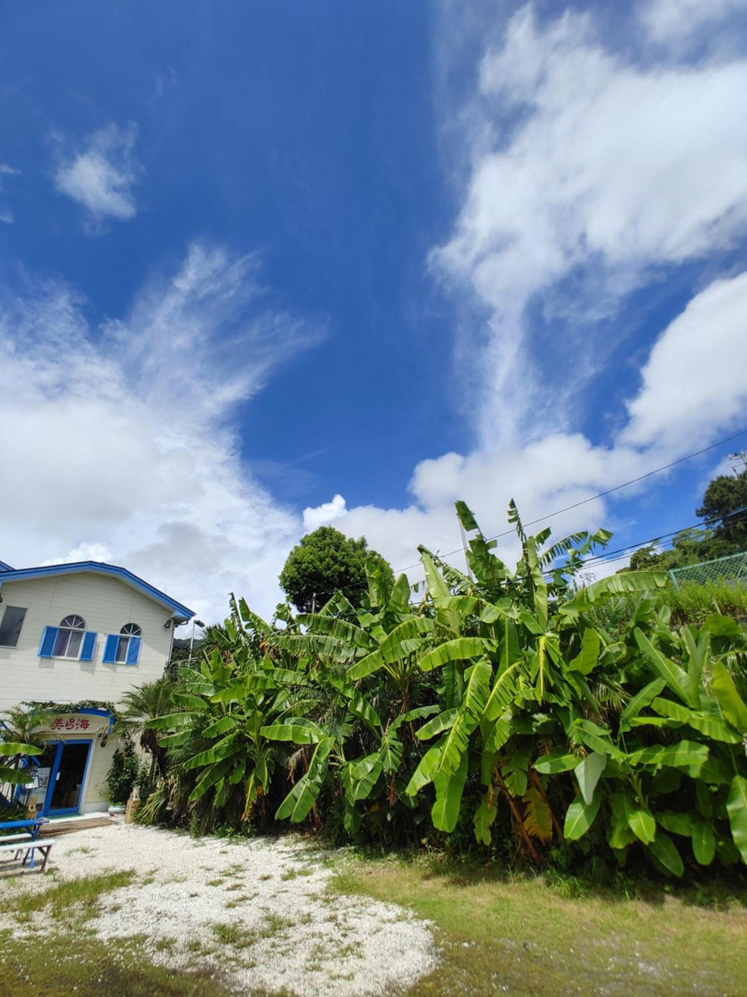 Guest House Churaumi Shimoda  Exterior foto